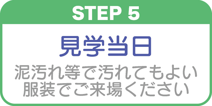 見学当日